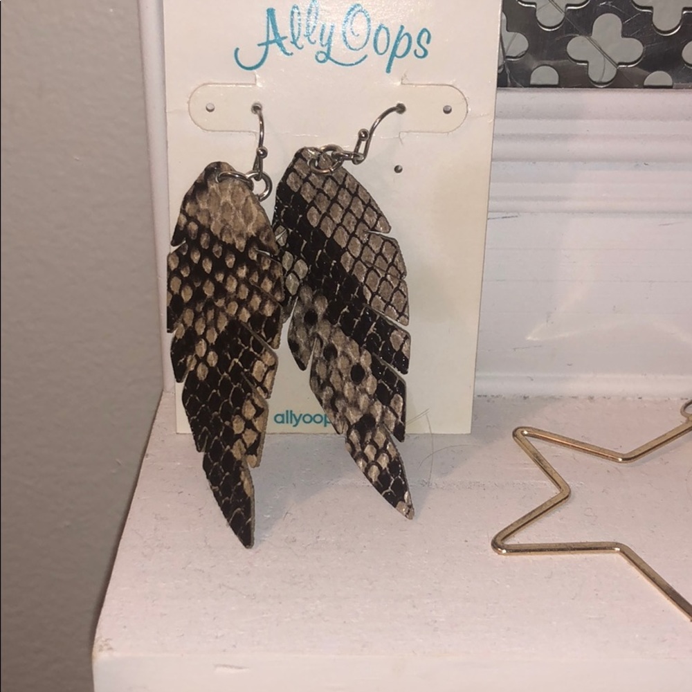 Earrings